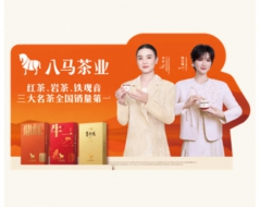 双代言人桌面装置【通用版】