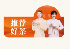 双代言人挂牌【12个/套】